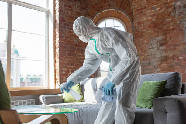 Why You Should Choose Our Mold Remediation Services in Heathrow, FL